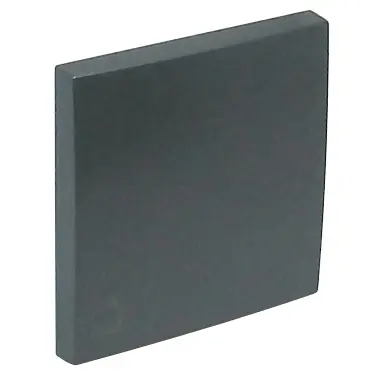 ELK_90607tis.jpg