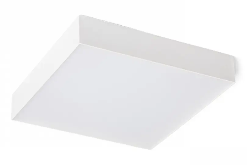 AUL_R12850_242333.jpg
