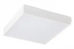AUL_R12850_242333.jpg