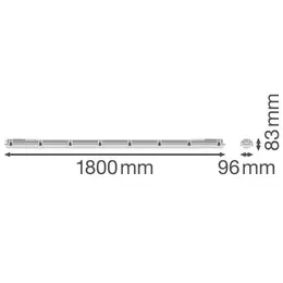 LDV_asset-6952173.jpg