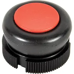 SCH_XACA9414.jpg
