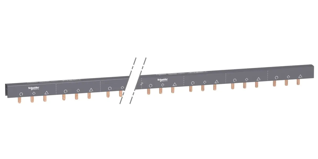 SCH_PB110252.jpg