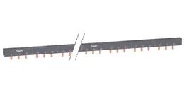 SCH_PB110252.jpg