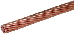 3413632_7715103.jpg
