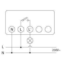 ELEM_1008065_2.jpg