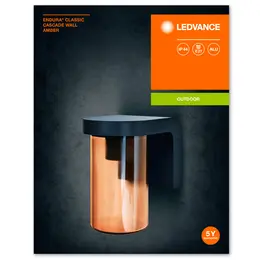 LDV_asset-12082428.jpg