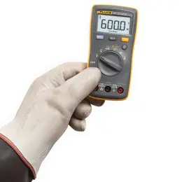GHV_1033-fluke-107_p1.jpg