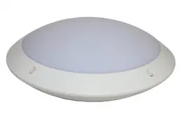 AR_41166_a.jpg