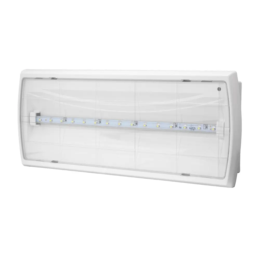 10_TIGER_LED.jpg