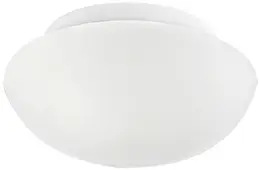 EGL_81635.jpg
