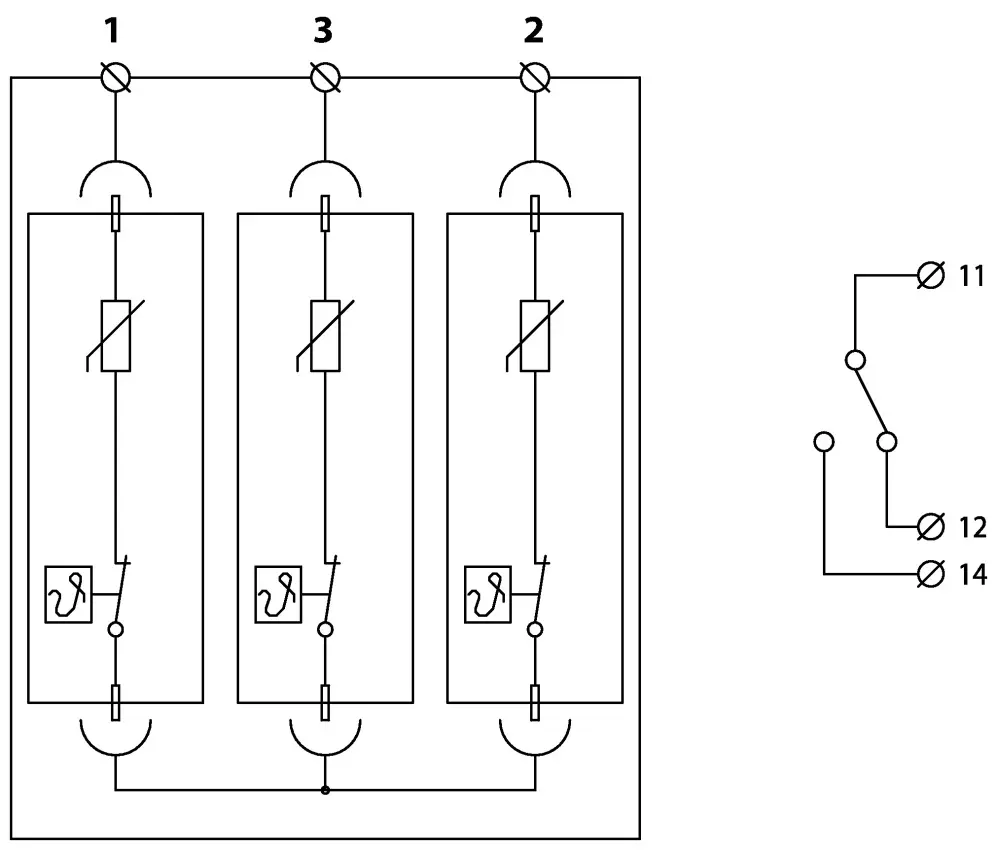 SAL_Z_SLP-PV700_1000_V_Y_S.jpg