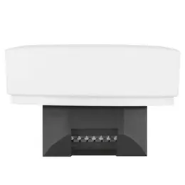 LDV_asset-7378829.jpg