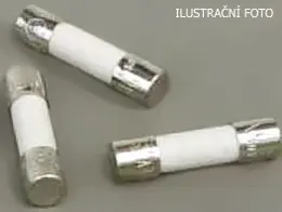 WM_pojistka_G_20_ilustr.jpg