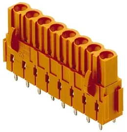 WM_1682790000.jpg