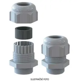 ELQ_BS-21_ilustr.jpg
