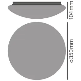 LDV_asset-3602671.jpg