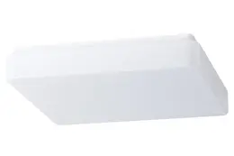 OS_TILIA_2.jpg