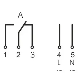 ELEM_8113_3.jpg