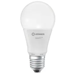 LDV_asset-5264045.jpg