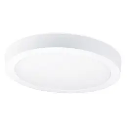 AUL_disc-surface_w.jpg
