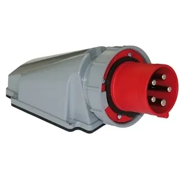 DK_2425270_1.jpg