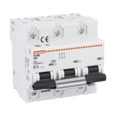 P2MB3PC080.jpg