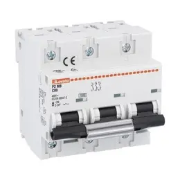 P2MB3PC080.jpg