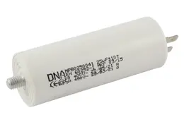 DNA_81260552.jpg