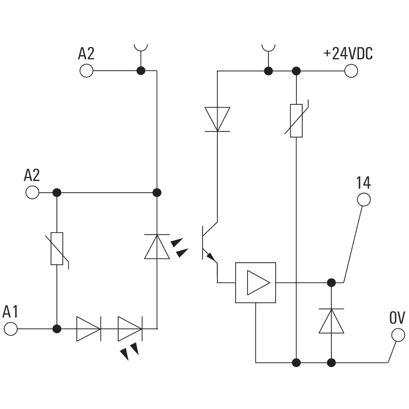 WM_PV_89379900009100.jpg
