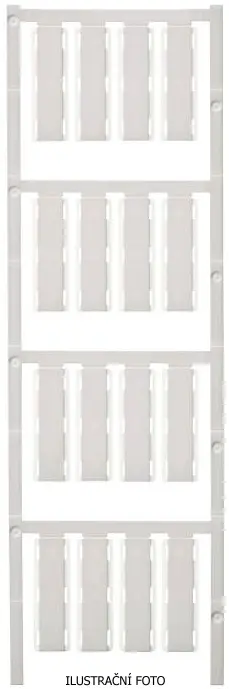 WM_1248760000_ilustr.jpg