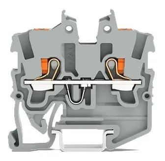 2495645.jpg