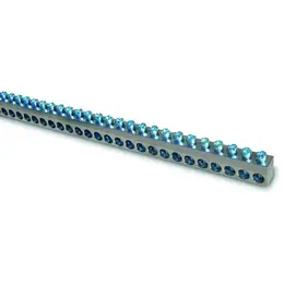 ELC_99.jpg