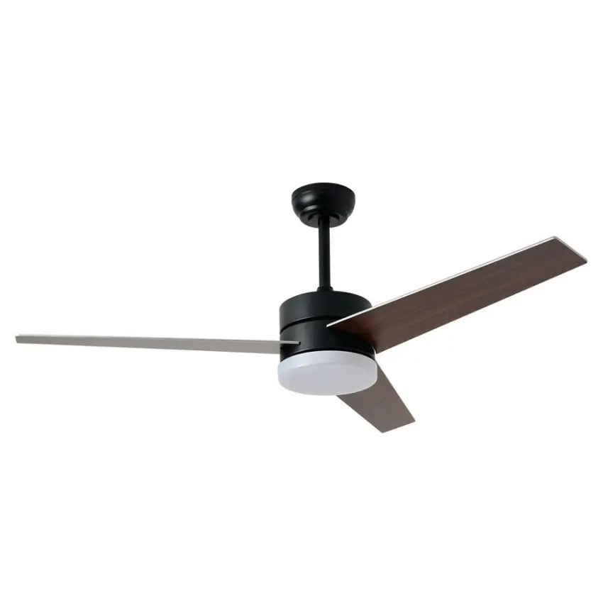 IMMAX_07285L.jpg