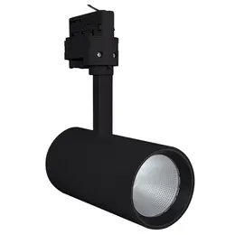 LDV_asset-3152895.jpg