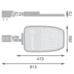 LDV_asset-13142946.jpg