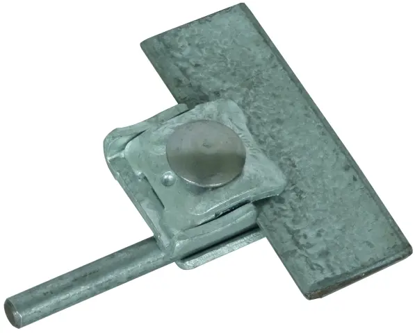 3414863_7718758.jpg