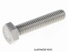 FS_DIN_933_ilustr.jpg