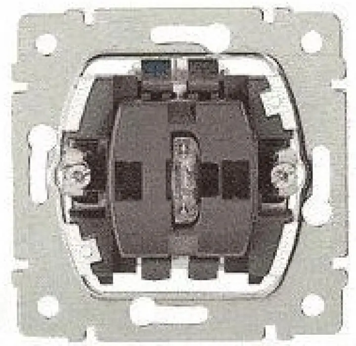 LEG_775827.jpg
