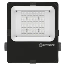 LDV_asset-6716334.jpg